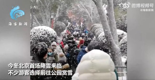 开云(中国)开云kaiyun·官方网站 北京游来宾从众式赏雪：扎堆拍故宫 东谈主气大熊猫萌兰展现雪中“一字马”画面可儿