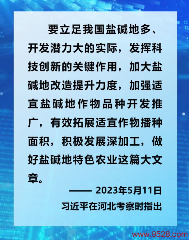 镜不雅·领航 | 2023年赴下层调研，总秘书这么道经济高质料发展