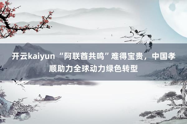 开云kaiyun “阿联酋共鸣”难得宝贵，中国孝顺助力全球动力绿色转型