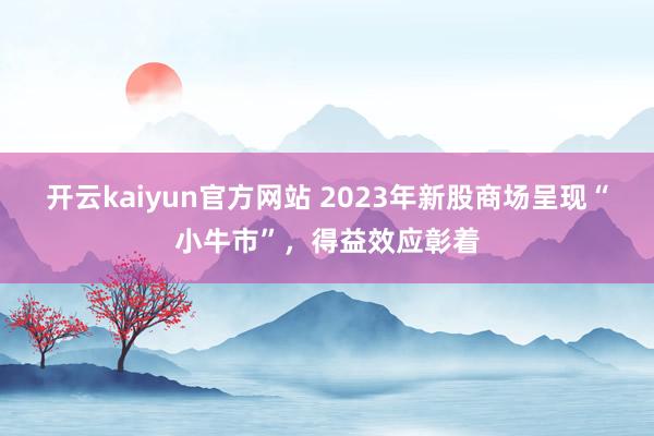 开云kaiyun官方网站 2023年新股商场呈现“小牛市”，得益效应彰着