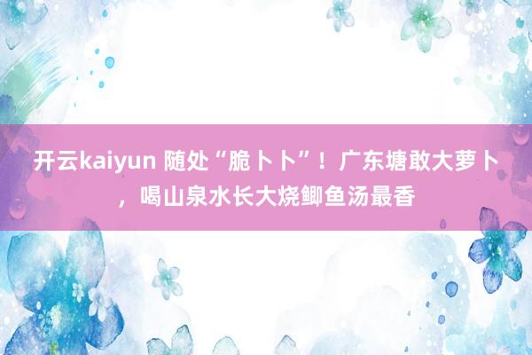 开云kaiyun 随处“脆卜卜”！广东塘敢大萝卜，喝山泉水长大烧鲫鱼汤最香