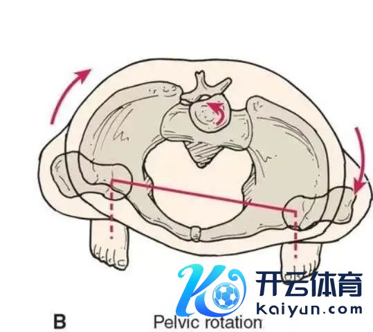 身体最贵的“容器”，超80%的东说念主王人不正