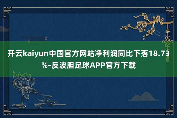 开云kaiyun中国官方网站净利润同比下落18.73%-反波胆足球APP官方下载