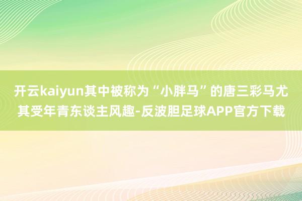 开云kaiyun其中被称为“小胖马”的唐三彩马尤其受年青东谈主风趣-反波胆足球APP官方下载