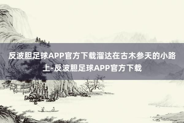 反波胆足球APP官方下载　　溜达在古木参天的小路上-反波胆足球APP官方下载