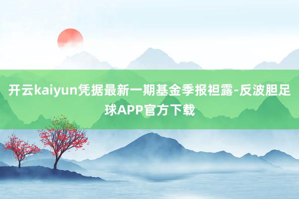 开云kaiyun凭据最新一期基金季报袒露-反波胆足球APP官方下载